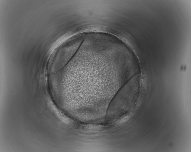 X0000111600981200908061410