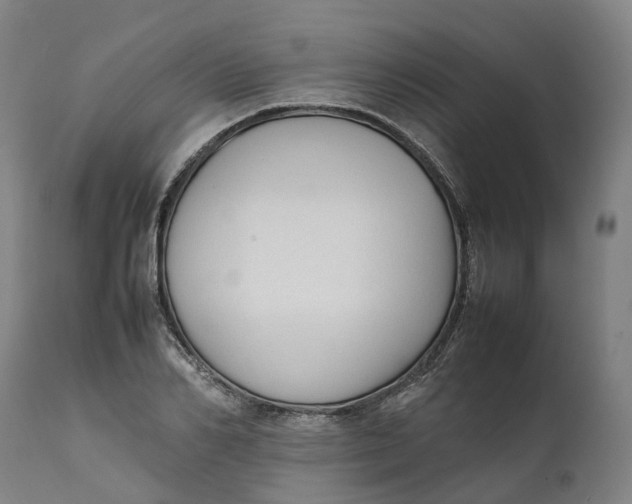 X0000111600982200908061410
