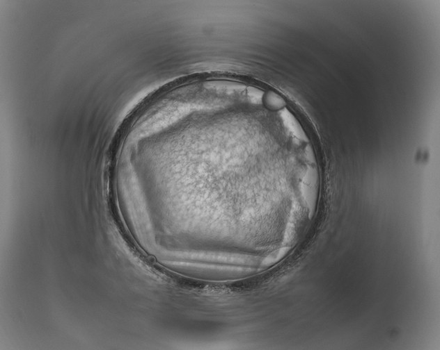 X0000111600983200908061410