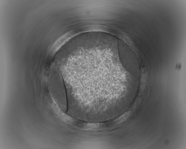 X0000111600985200908061410