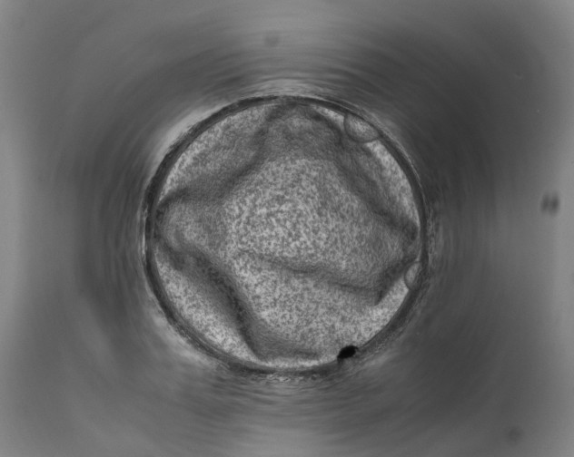 X0000111600987200908061410