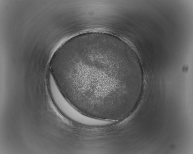 X0000111600989200908061410