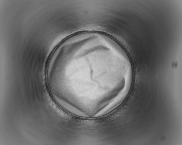 X0000111600990200908061410