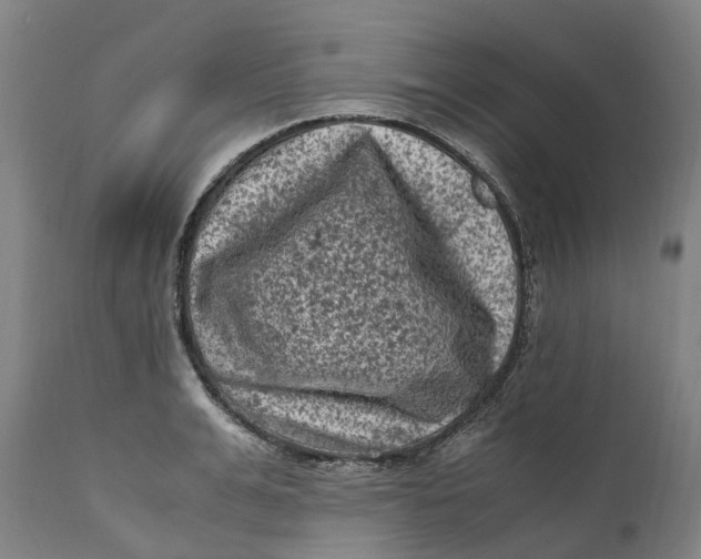 X0000111600991200908061410