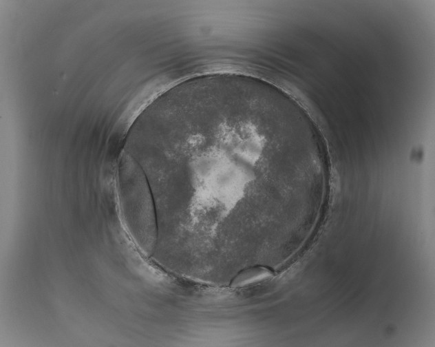 X0000111600993200908061410