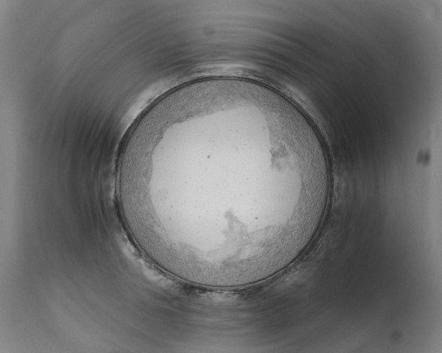 X0000111600994200908061410