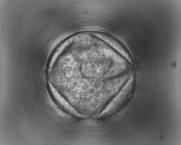 X0000111600995200908061410