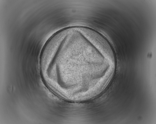 X0000111600996200908061410