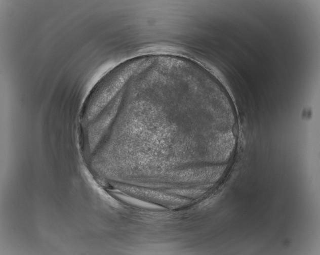 X0000111600997200908061410