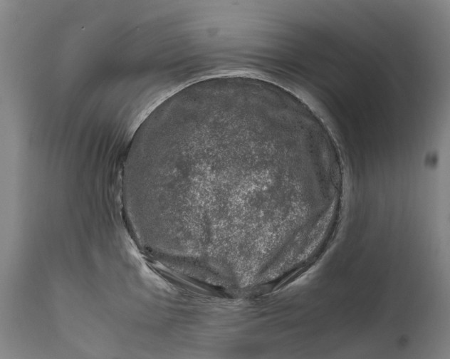 X0000111601001200908061410