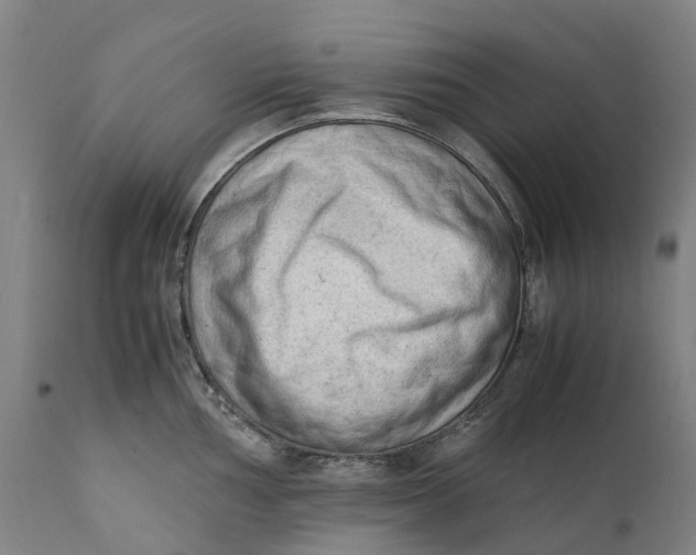 X0000111601002200908061410