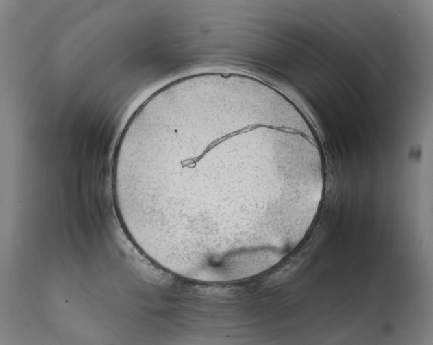 X0000111601004200908061410