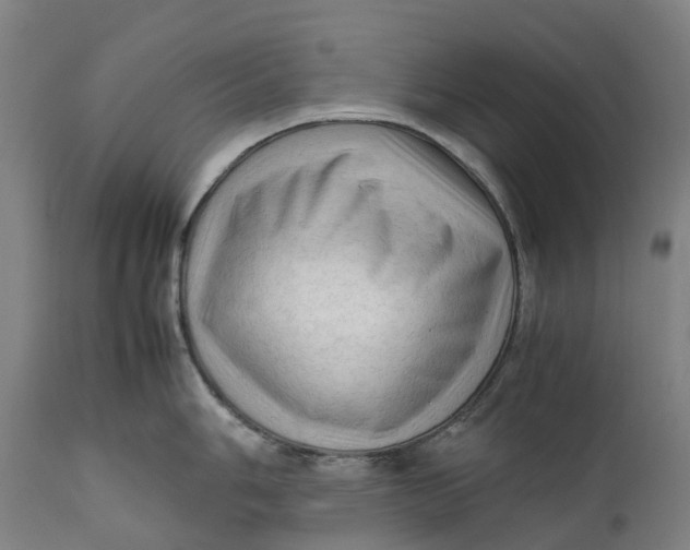 X0000111601006200908061410