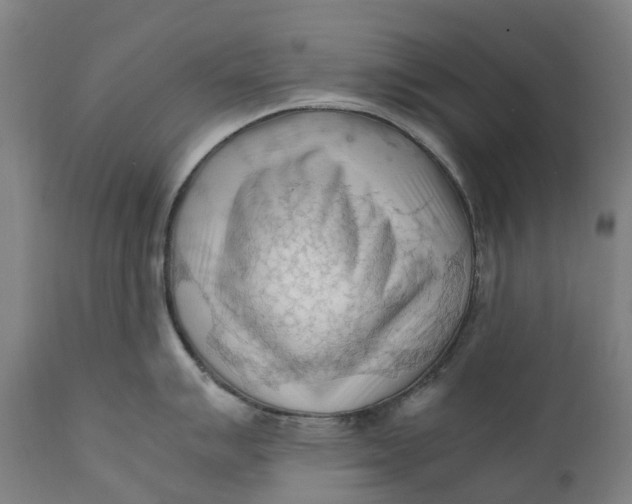 X0000111601007200908061410