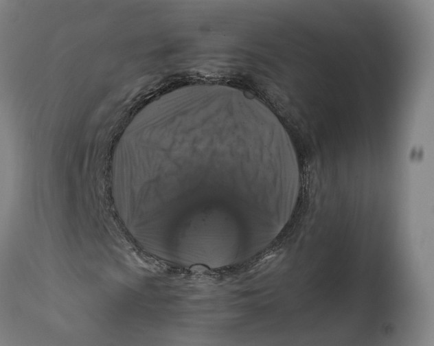 X0000111601009200908061409
