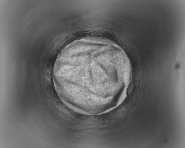 X0000111601010200908061409