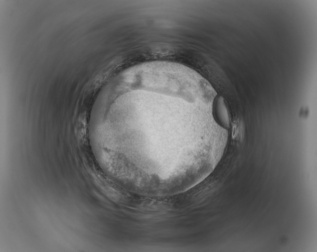 X0000111601011200908061409