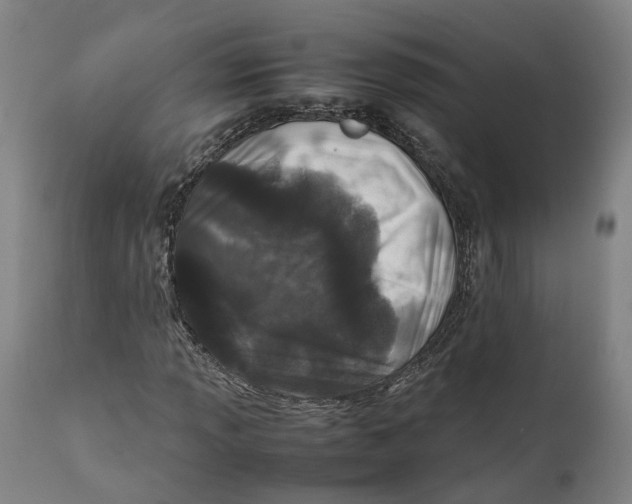 X0000111601013200908061409