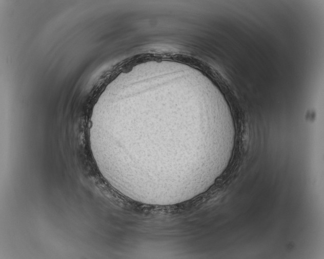 X0000111601016200908061409