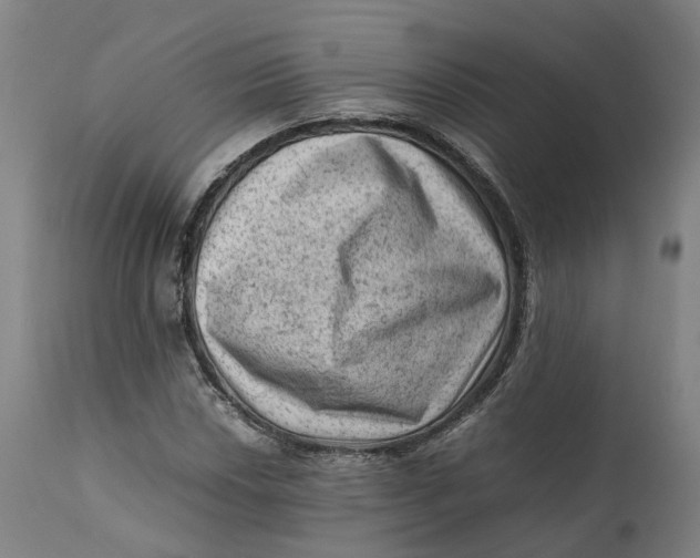 X0000111601018200908061409