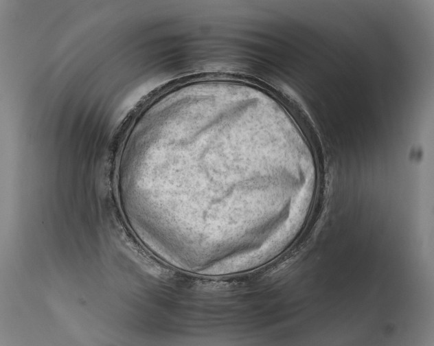 X0000111601019200908061409