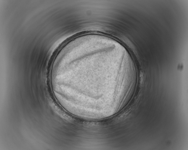 X0000111601020200908061409
