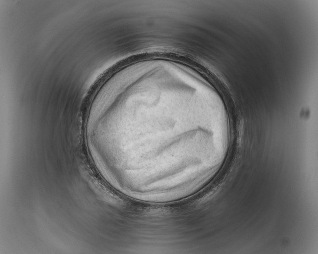 X0000111601021200908061409