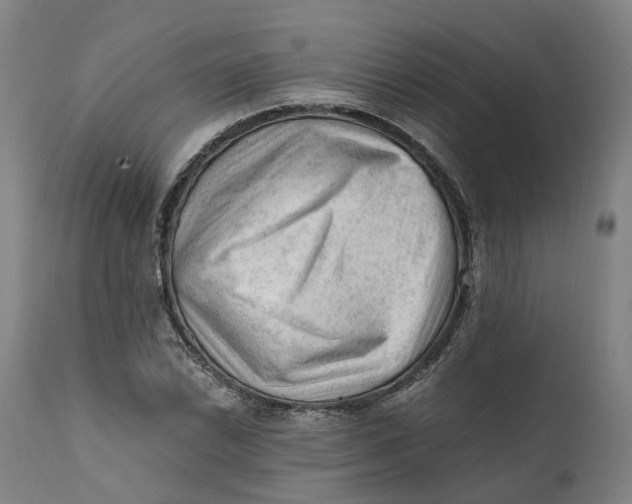 X0000111601022200908061409