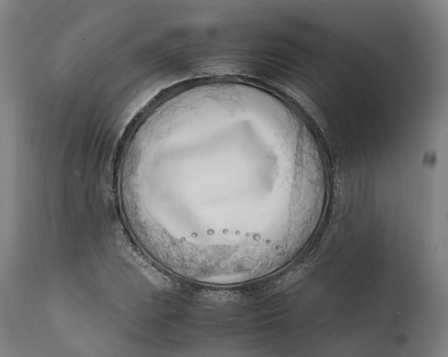 X0000111601023200908061409
