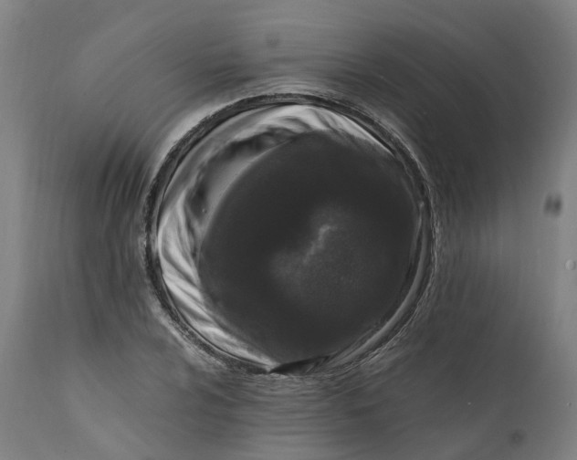 X0000111601024200908061409