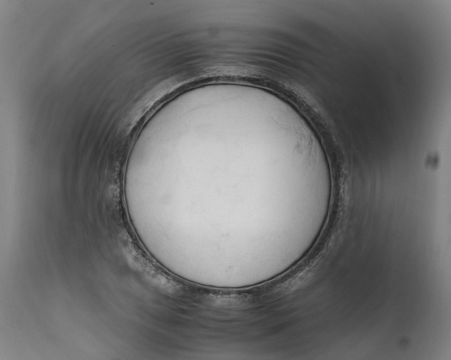 X0000111601025200908061409