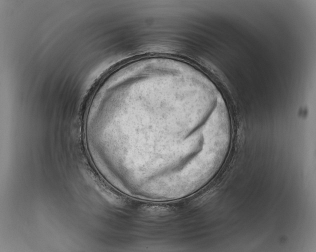 X0000111601027200908061409