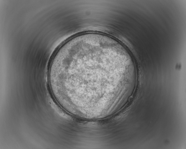 X0000111601028200908061409