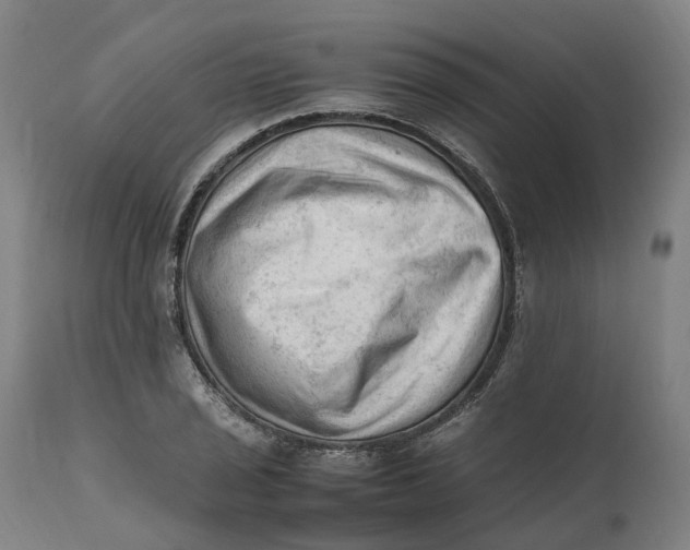 X0000111601029200908061409