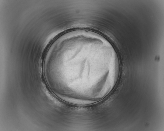 X0000111601030200908061409
