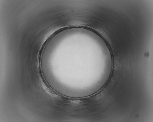 X0000111601031200908061409