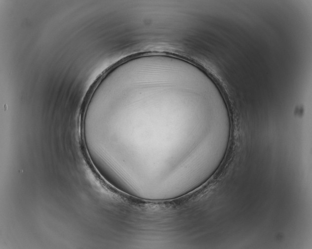 X0000111601032200908061409