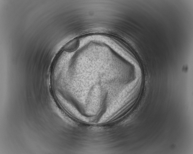 X0000111601034200908061409
