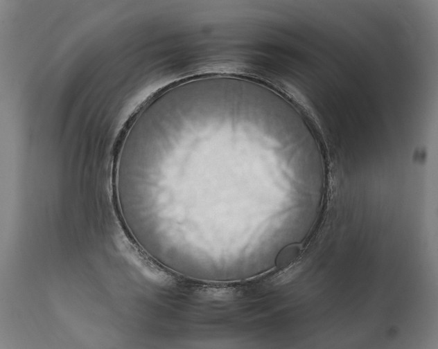 X0000111601035200908061409