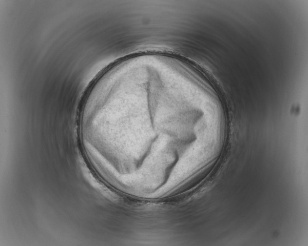 X0000111601038200908061409