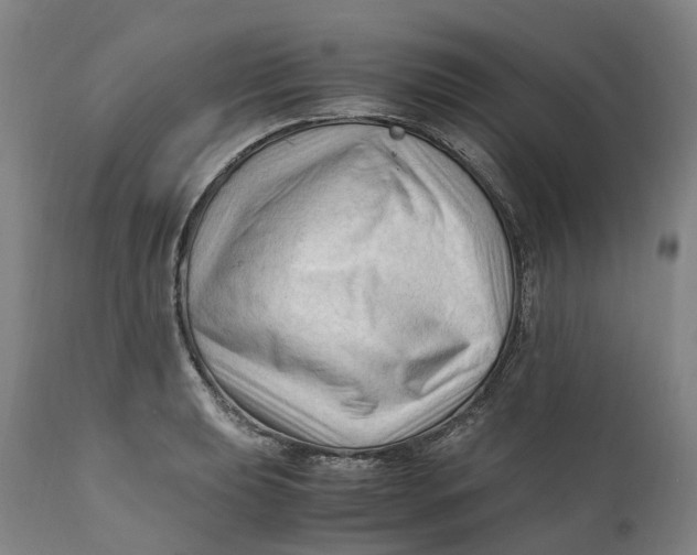 X0000111601039200908061409