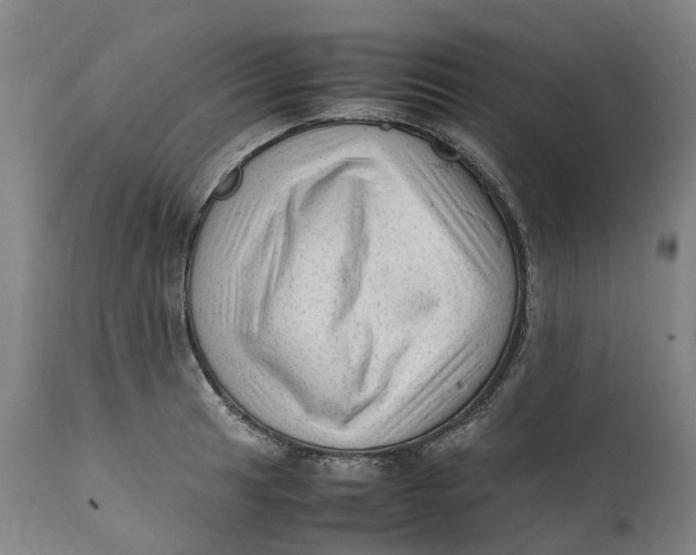 X0000111601041200908061409
