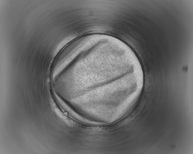 X0000111601042200908061409
