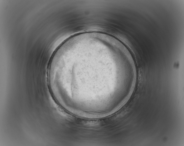 X0000111601047200908061409