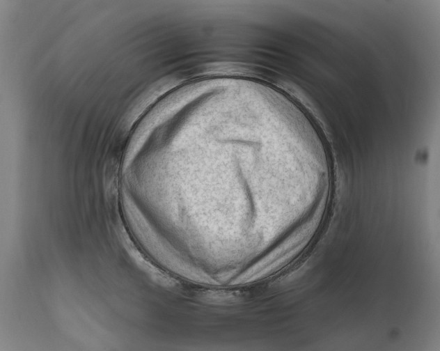 X0000111601049200908061409