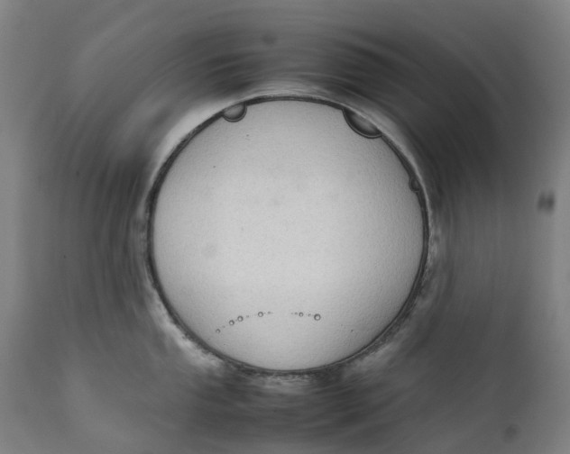 X0000111601053200908061409