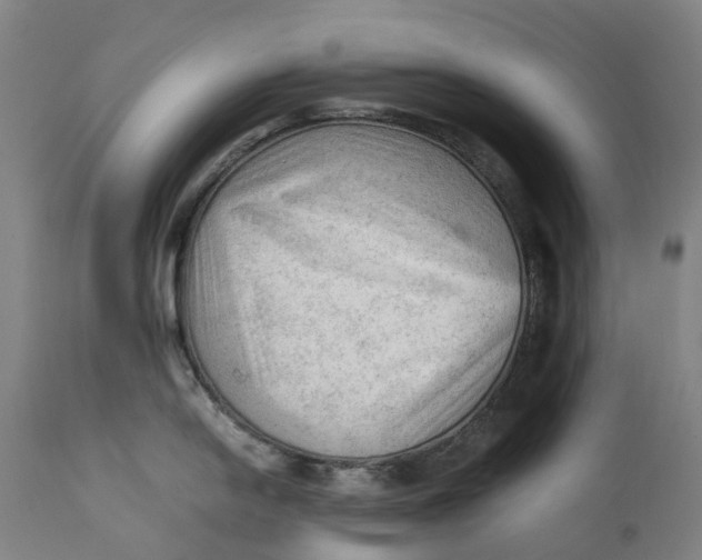 X0000111601054200908061409