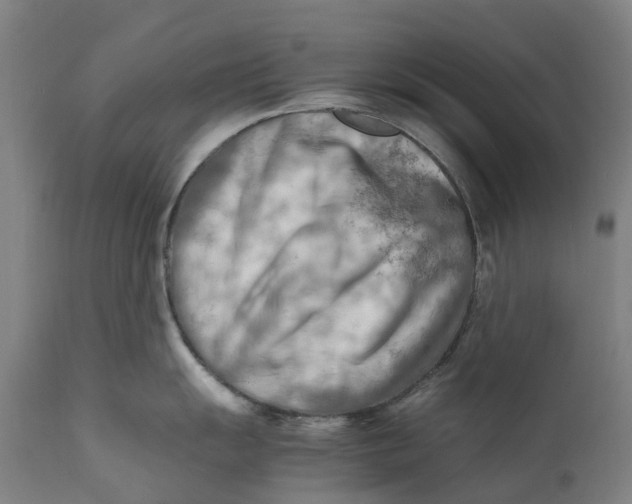 X0000111601055200908061409