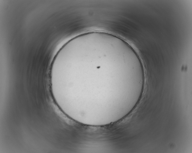 X0000111601056200908061409