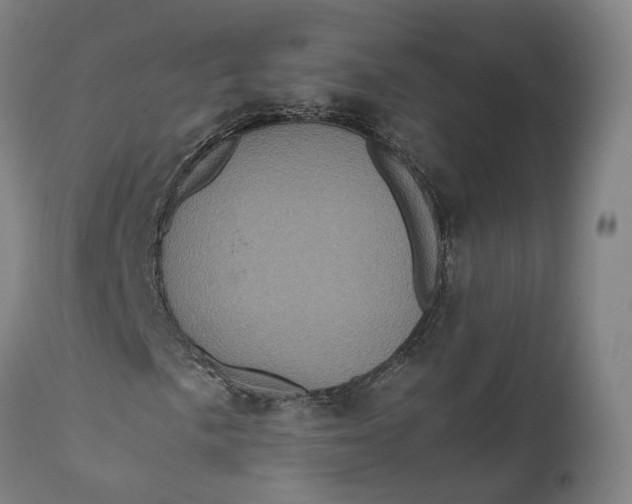 X0000111601057200908061409